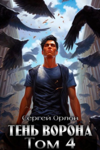 Книга Тень Ворона – 4