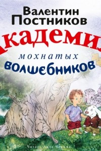 Книга Академия мохнатых волшебников