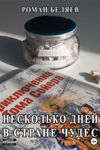 Книга Несколько дней в стране чудес