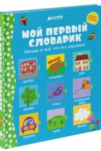 Книга Мой первый словарик