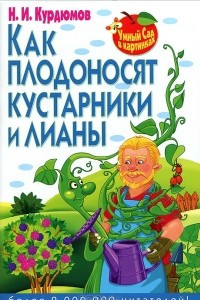 Книга Как плодоносят кустарники и лианы