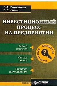 Книга Инвестиционный процесс на предприятии