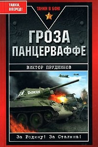 Книга Гроза панцерваффе