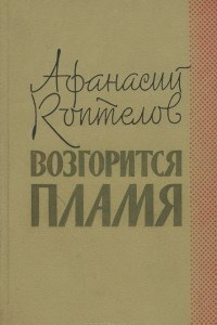 Книга Возгорится пламя