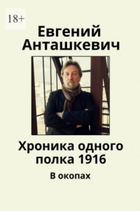 Книга Хроника одного полка 1916. В окопах