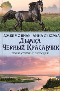 Книга Дымка. Черный Красавчик