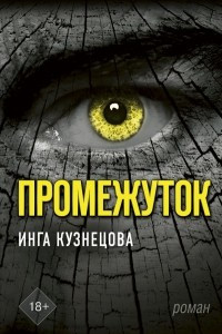 Книга Промежуток