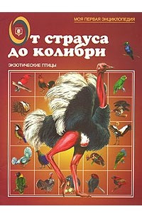 Книга От страуса до колибри. Экзотические птицы