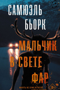 Книга Мальчик в свете фар