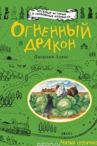 Книга Огненный дракон