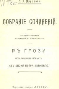 Книга В грозу. Историческая повесть из эпохи Петра Великого