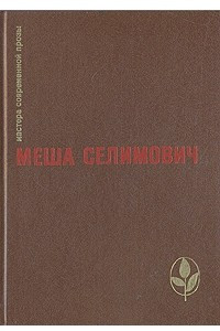 Книга Дервиш и смерть. Крепость