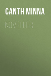 Книга Noveller