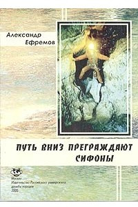 Книга Путь вниз преграждают сифоны. Хроника