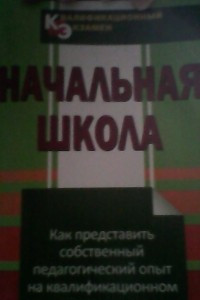 Книга Начальная школа. Как представить собственный педагогический опыт на квалификационном экзамене