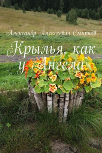 Книга Крылья, как у Ангела