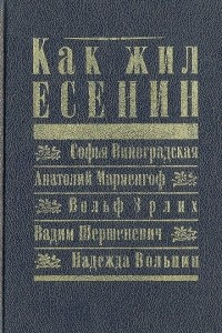 Книга Как жил Есенин: Мемуарная проза