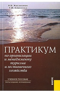 Книга Практикум по организации и менеджменту туризма и гостиничного хозяйства