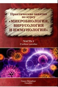 Книга Практические занятия по курсу 