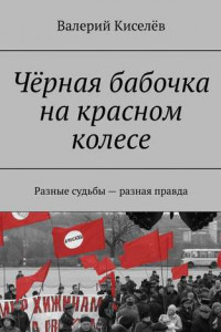 Книга Чёрная бабочка на красном колесе. Разные судьбы – разная правда