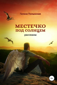 Книга Местечко под солнцем