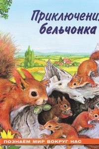 Книга Приключения бельчонка