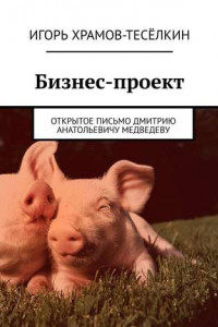 Книга Бизнес-проект. Открытое письмо Дмитрию Анатольевичу Медведеву