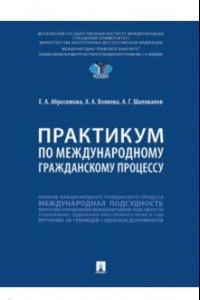 Книга Практикум по международному гражданскому процессу