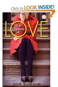 Книга The opposite of love