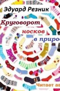 Книга Круговорот носков в природе