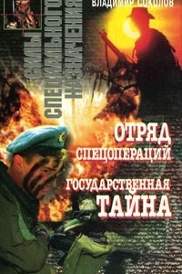 Книга Отряд спецопераций. Государственная тайна