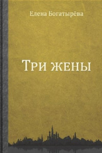 Книга Три жены. Большое кармическое путешествие