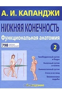 Книга Нижняя конечность. Функциональная анатомия. Том 2