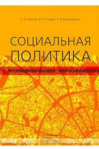 Книга Социальная политика в муниципальных образованиях