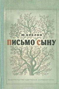 Книга Письмо сыну