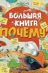 Книга Большая книга 