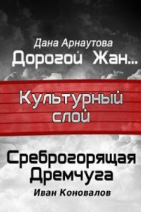 Книга Культурный слой