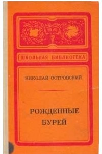 Книга Рожденные бурей