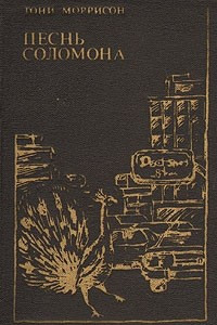 Книга Песнь Соломона