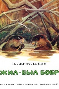 Книга Жил-был бобр