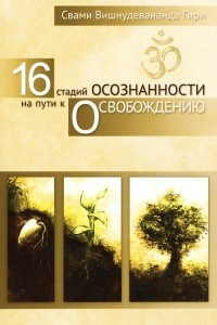 Книга 16 стадий осознанности на пути к освобождению