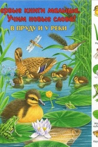 Книга В пруду и у реки