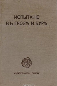 Книга Испытание в грозе и буре. Скифы. Двенадцать