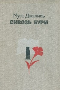 Книга Сквозь бури