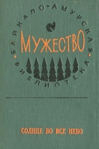 Книга Солнце во все небо