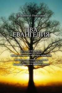 Книга Два Евангелия. Современные и вечные проблемы христианства, отношений человека и Бога