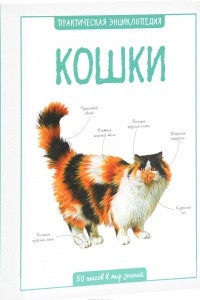 Книга Кошки