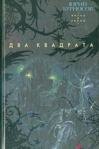 Книга Два квадрата