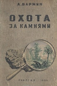 Книга Охота за камнями