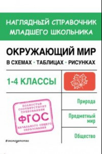 Книга Окружающий мир в схемах, таблицах, рисунках. 1-4 классы. ФГОС